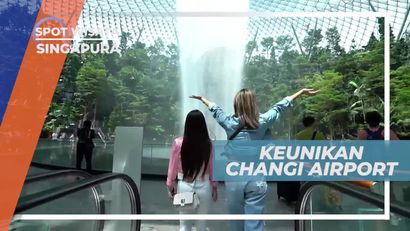 Berkunjung ke Changi Airport, Bandara Bernuansa Alam yang Indah, Singapura