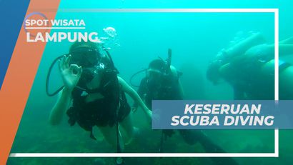 Scuba Diving, Menikmati Indahnya Surga Bawah Laut Pulau Tegal Mas, Lampung