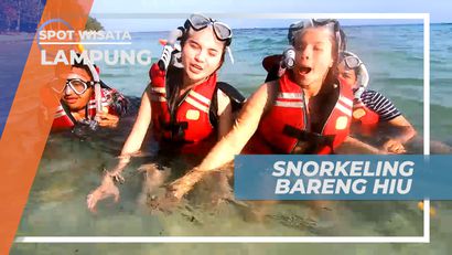 Pengalaman Seru Snorkeling Bareng Ikan Hiu, Lampung
