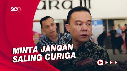 NasDem Sebut Ada yang Jauhkan Anies dan Jokowi, Dasco: Bukan dari Gerindra