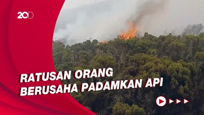 Kebakaran di Lereng Kilimanjaro Gunung Tertinggi di Afrika