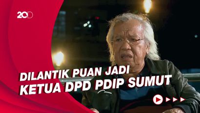 Cerita Panda Nababan Saat Megawati Siapkan Puan Jadi Ketum PDIP