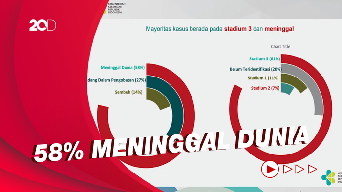 Update Kasus Gagal Ginjal Akut Misterius: Naik Jadi 269 Kasus