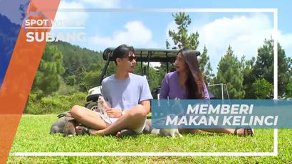 Memberi Makan Kelinci, Aktifitas Asik di Kawasan Wisata Subang