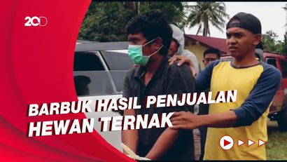 Pelaku Pencurian 2 Ekor Hewan Ternak di Tana Toraja Dibekuk Polisi