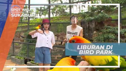 Berkunjung ke Bird Park, Spark Forest Adventure Sukabumi