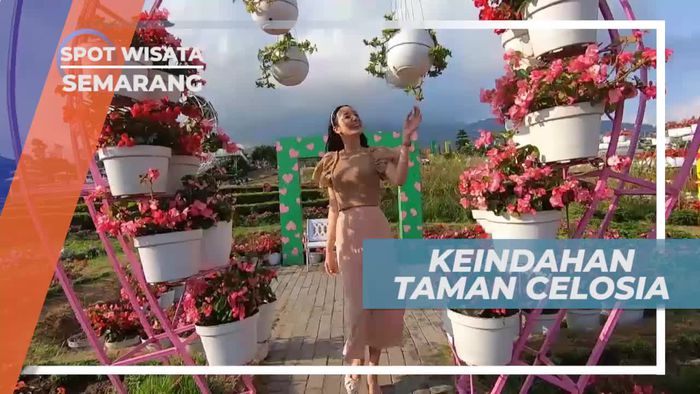 Mengabadikan Momen Dengan Latar Bunga yang Indah, Semarang