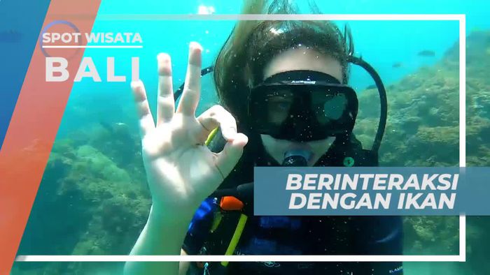 Ragam Ikan Cantik di Bawah Laut Tanjung Benoa Bali