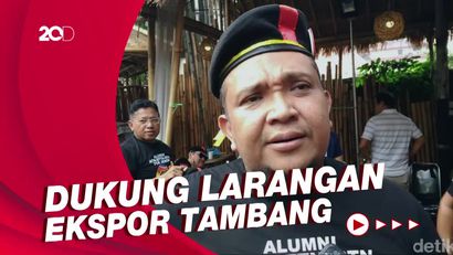 Wamenaker Sebut Larangan Ekspor Tambang Untungkan Warga dan Negara