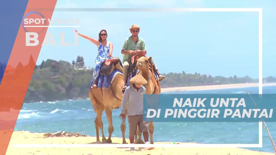 Naik Unta Menyusuri Pantai Sawangan Nusa Dua Bali