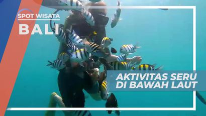 Diving Menikmati Keindahan Bawah Laut Tanjung Benoa Bali