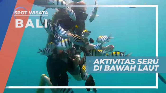 Diving Menikmati Keindahan Bawah Laut Tanjung Benoa Bali
