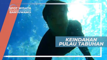 Pulau Tabuhan, Pesona Keindahan Surga Bawah Laut yang Mempesona, Banyuwangi