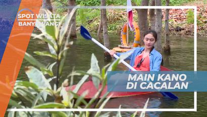 Dayung-dayung Serunya Bermain Kano di Rawa-rawa, Banyuwangi