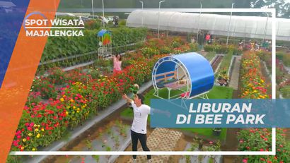 Liburan Menyenangkan di Taman Penuh Bunga, Majalengka