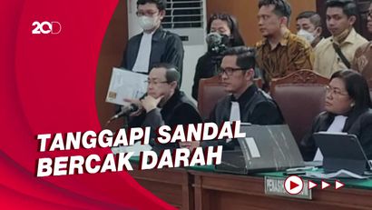 Respons Febri ke Kamaruddin: Jangan Sampai Hoax Dibawa ke Persidangan