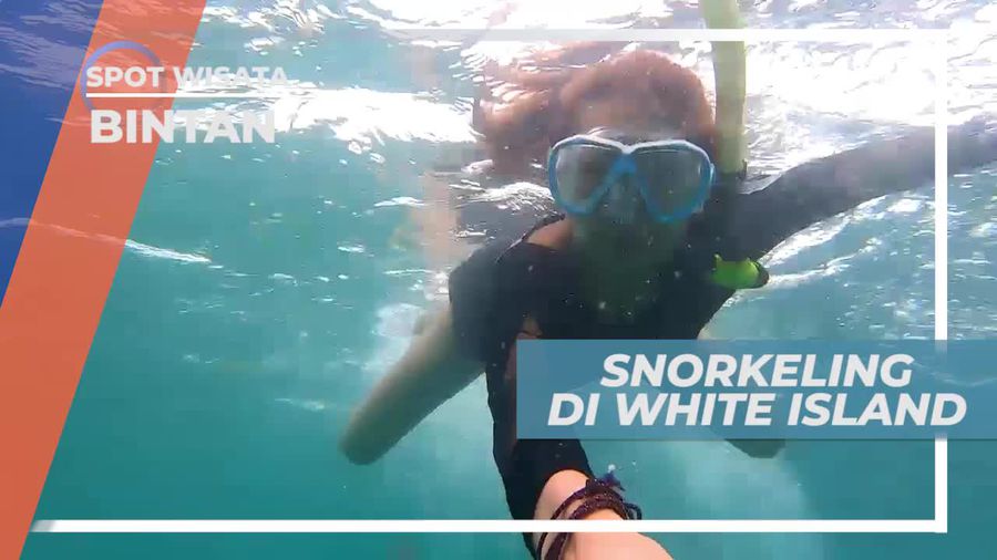 Snorkeling Menikmati Keindahan Bawah Laut White Island Bintan