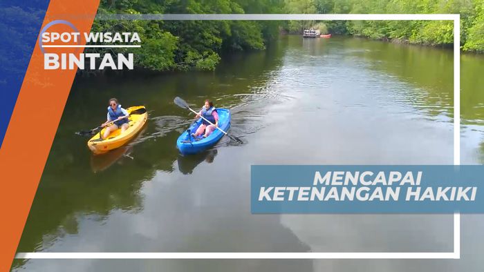 Menikmati Suasana Alam di Tengah Hutan Mangrove, Bintan
