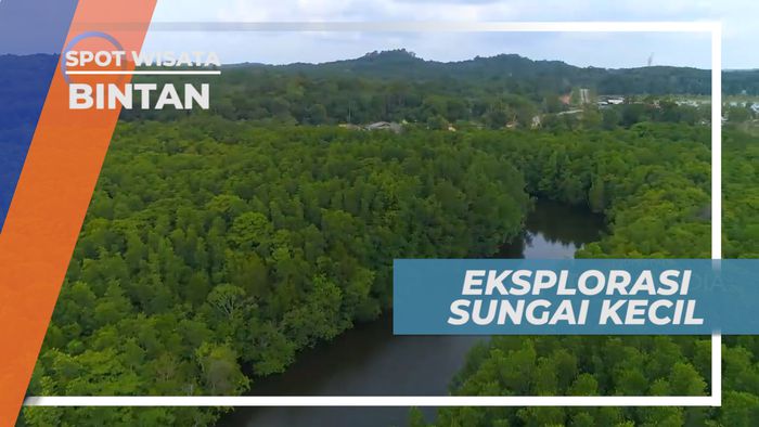 Menyusuri Sungai-sungai Kecil di Tegah Hutan Mangrove, Bintan