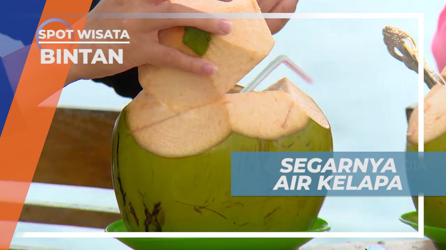 Menikmati Segarnya Es Kelapa Muda Peleoas Dahaga, Bintan