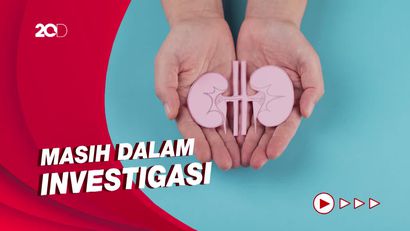 Efek Etilen Glikol pada Ginjal