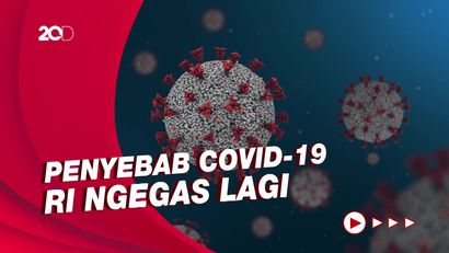 Satgas IDI Sebut Subvarian Omicron XBB Sangat Unik, Ini Alasannya