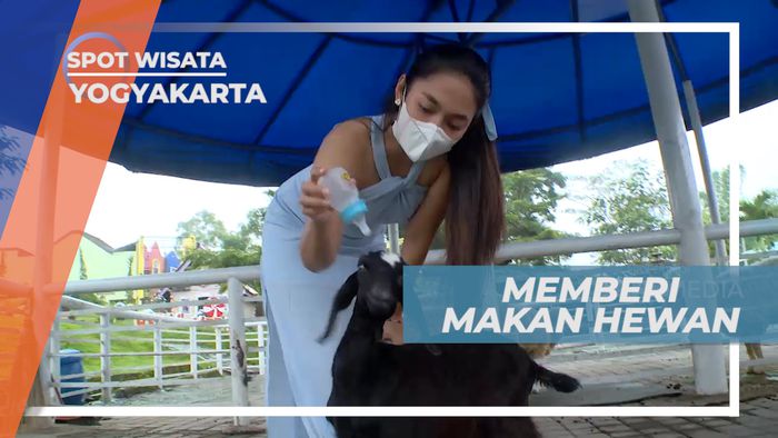 Kegiatan Seru Memberi Makan Para Satwa yang Menggemaskan, Yogyakarta