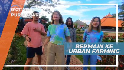 Liburan ke Tempat Eduwisata di Urban Farming, Purwakarta