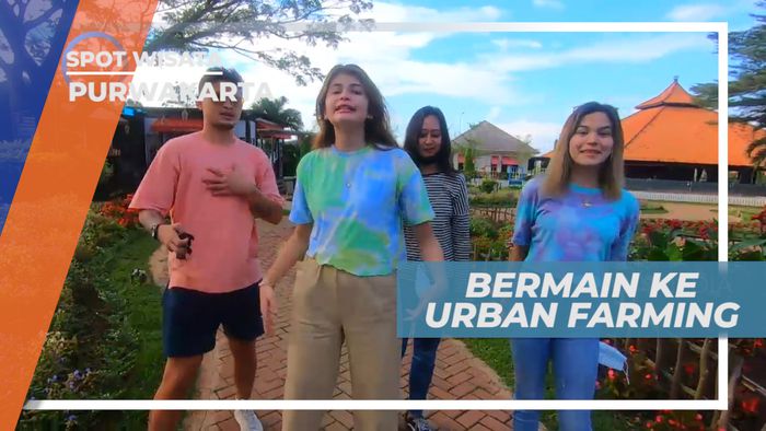 Liburan ke Tempat Eduwisata di Urban Farming, Purwakarta