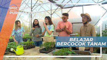 Belajar Bercocok Tanam yang Baik dan Benar, Purwakarta