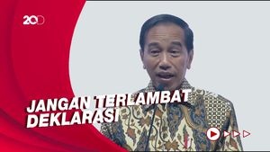Jokowi ke Hary Tanoe: Hati-hati Pilih Capres-Cawapres
