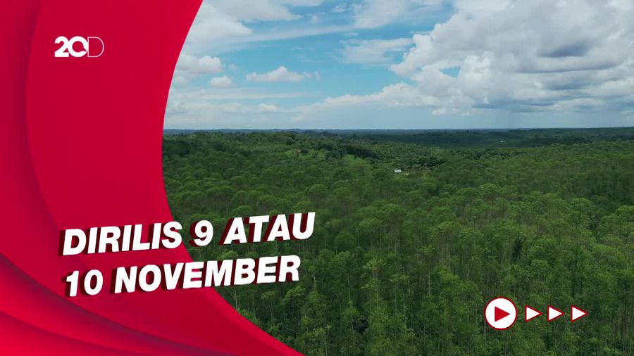 817 Hektar Kawasan Inti Pusat Pemerintahan di IKN Akan Dirilis   