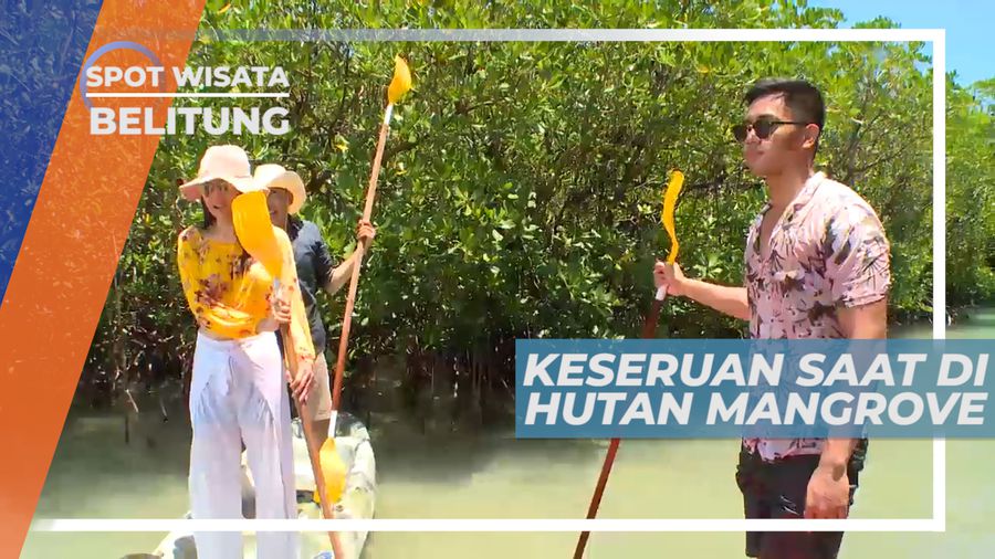 Seru-seruan Bermain Air di Tengah-tengah Hutan Mangrove, Belitung