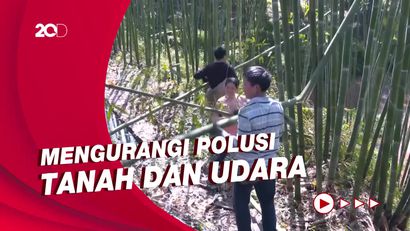 China Dorong Penggunaan Bambu Gantikan Plastik agar Ramah Lingkungan