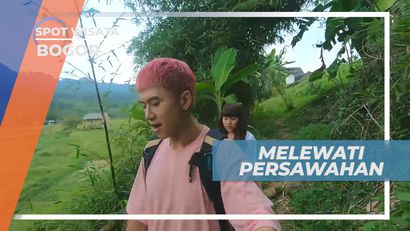 Menikmati Hamparan Hijau Persawahan yang Sejuk Alami, Bogor