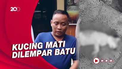 Permintaan Maaf Pria Pelempar Batu ke Kucing hingga Mati di Jaktim