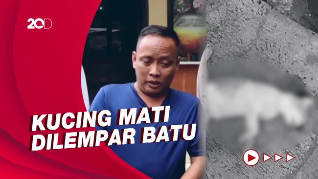 Permintaan Maaf Pria Pelempar Batu ke Kucing hingga Mati di Jaktim