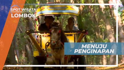 Serunya Naik Transportasi Khas Gili Trawangan Menuju Penginapan, Lombok