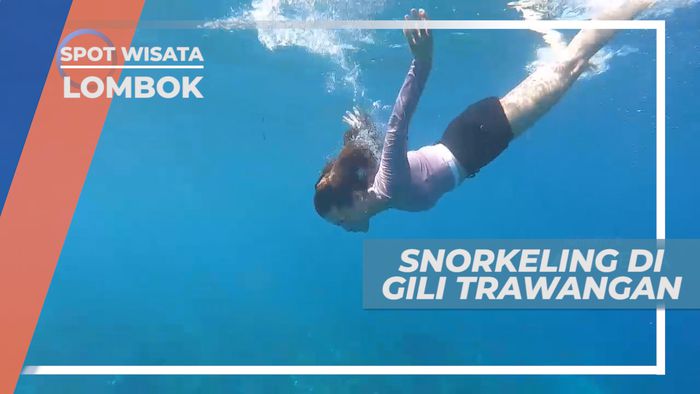 Mengintip Indahnya Surga Bawah Laut Gili Trawangan, Lombok