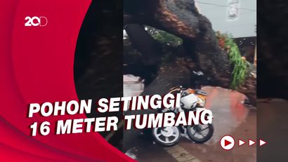 Penampakan Pohon Tumbang di Balai Kota DKI yang Timpa 4 Polisi