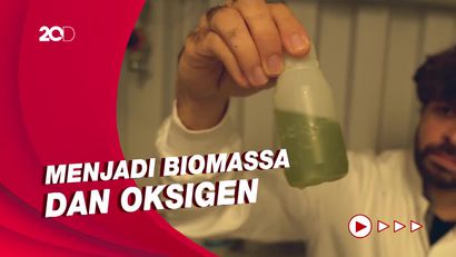 Startup Asal Jerman Gunakan Mikroalga untuk Mengubah Karbon Dioksida