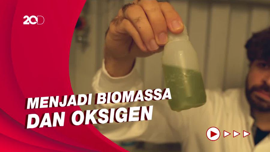 Startup Asal Jerman Gunakan Mikroalga untuk Mengubah Karbon Dioksida