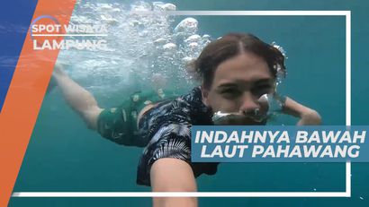 Indahnya Surga Bawah Laut Pahawang yang Memukau, Lampung