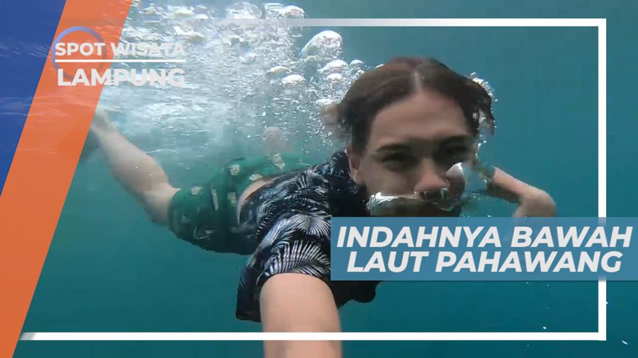 Indahnya Surga Bawah Laut Pahawang yang Memukau, Lampung