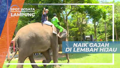 Sensasi Seru Naik Gajah di Taman Wisata Satwa, Lampung