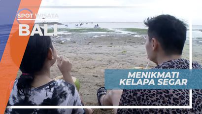 Menikmati Segarnya Es Kelapa Muda Penghilang Dahaga, Bali