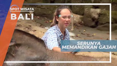 Memandikan Gajah, Pengalaman Seru di Bali Elephant Camp