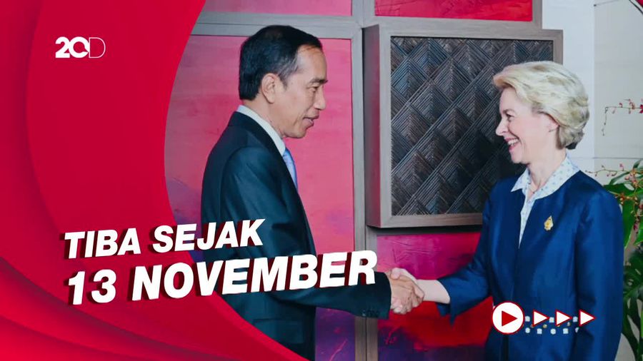 Daftar 17 Kepala Negara yang Hadir di KTT G20  di Bali