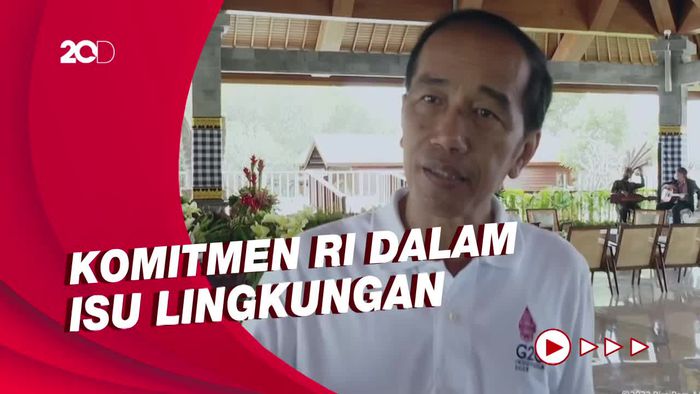 Kunjungi Hutan Mangrove, Jokowi Ajak Biden Cs Bangun Ekonomi Hijau