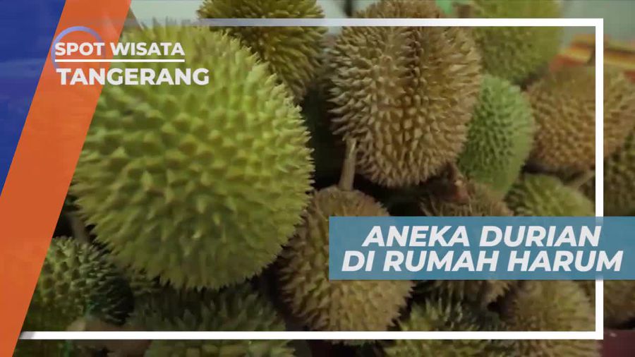 Berkunjung ke Resto Serba Durian di Tangerang
